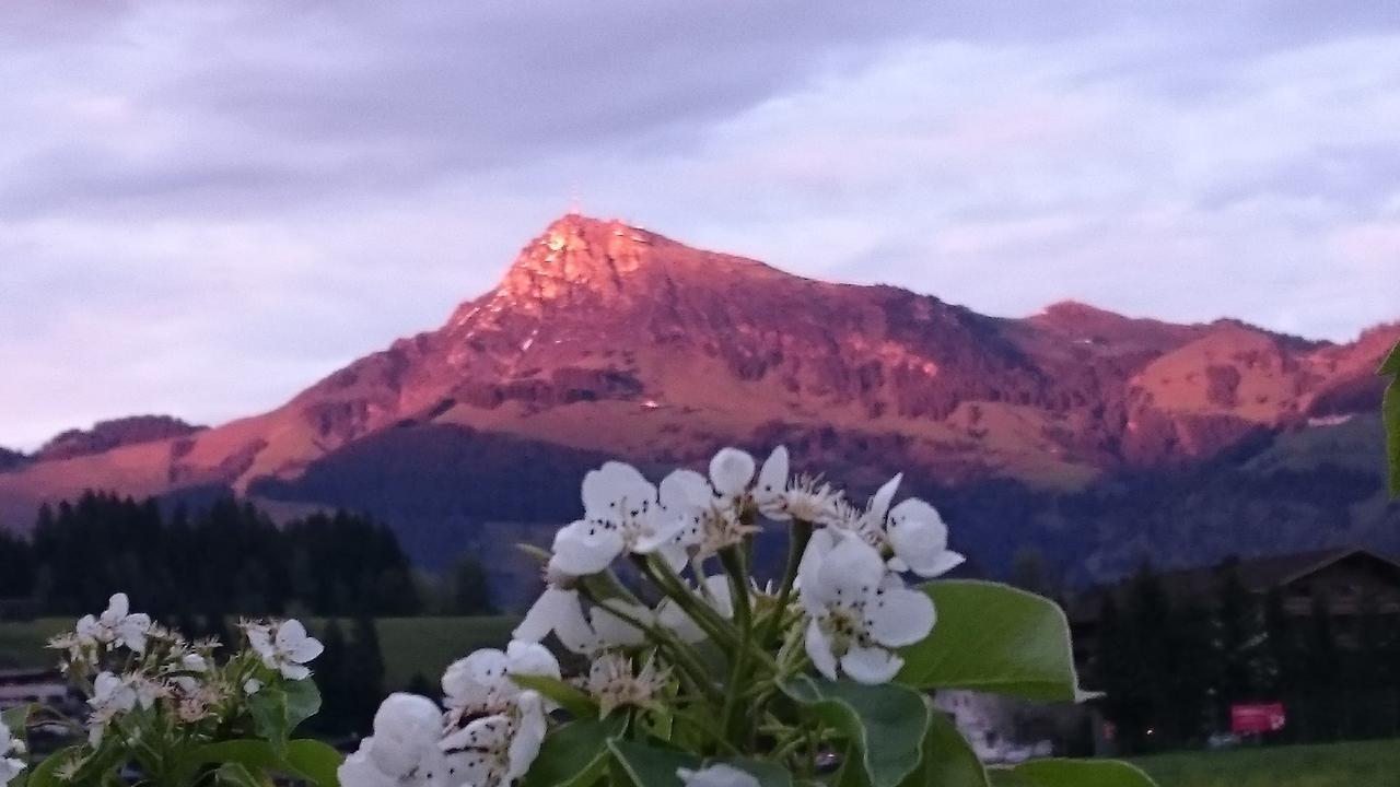 Hotel Garni Zimmermann Reith bei Kitzbuehel Bagian luar foto
